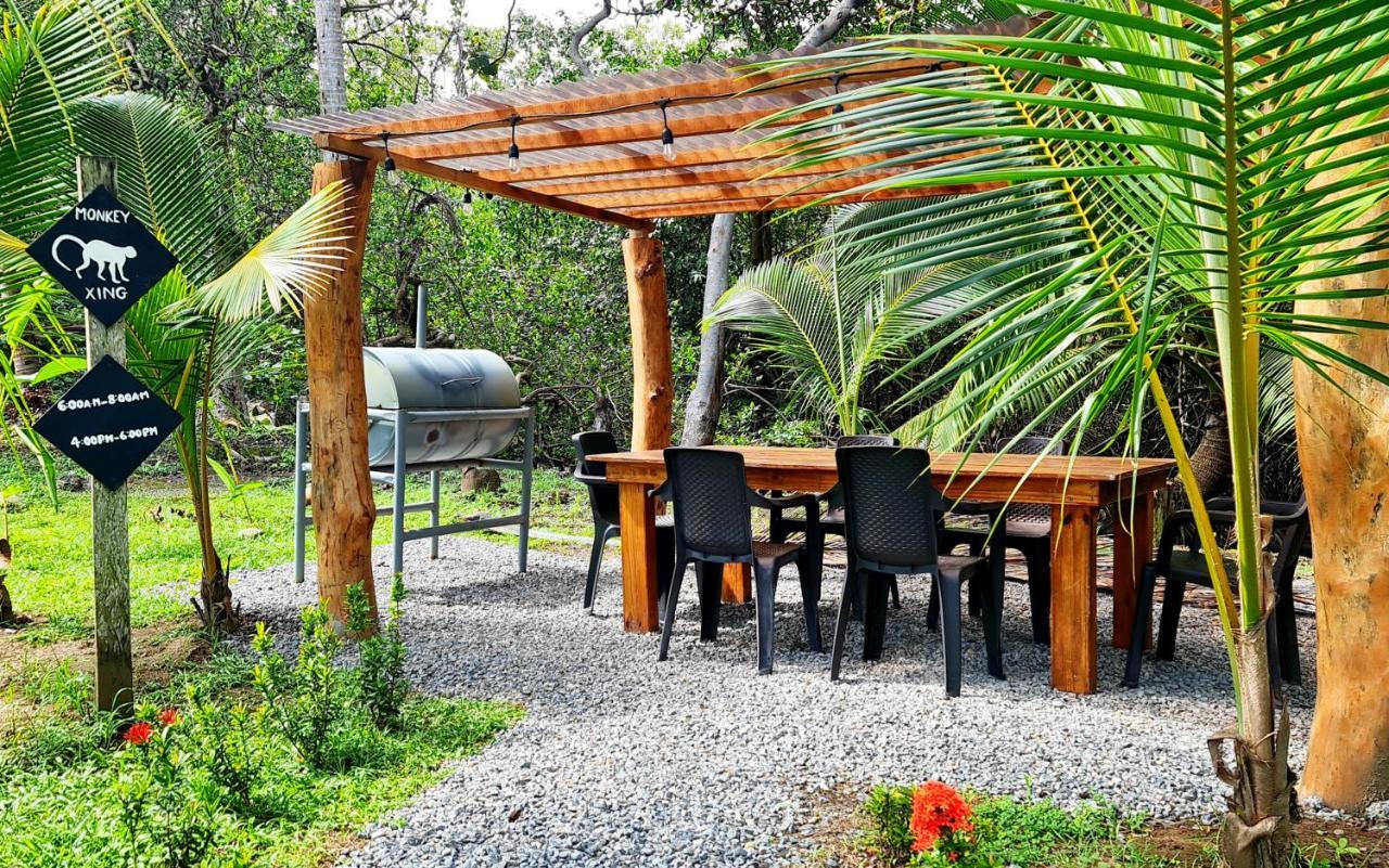 Show Pony Beach Resort And Suites Las Lajas  Dış mekan fotoğraf