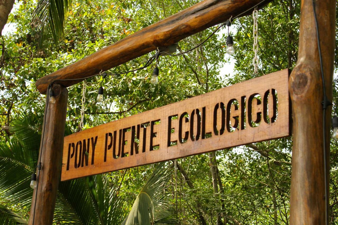 Show Pony Beach Resort And Suites Las Lajas  Dış mekan fotoğraf